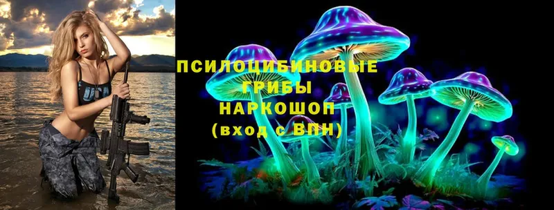 Псилоцибиновые грибы MAGIC MUSHROOMS Торжок